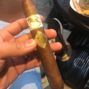 Xi Ga Cavalier Geneve Salomones 2