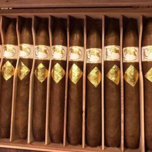 Xi Ga Cavalier Geneve Salomones 3