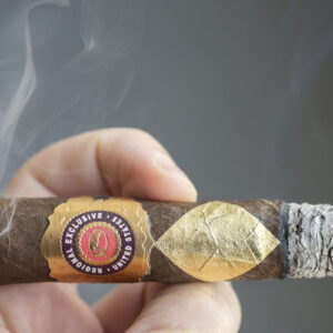 Xi Ga Cavalier Regional Exclusive USA 2