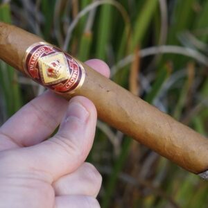 Xi Ga Diamond Crown Natural 1