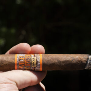 Xi Ga Leaf By Oscar Valladares Wild Hunter 2