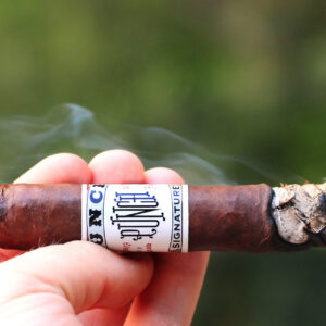 Xi Ga Punch Signature 1