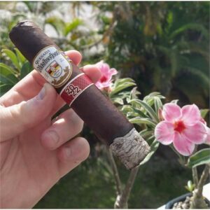 Xì Gà Quesada Oktoberfest 2 Xi Ga Quesada Oktoberfest 2