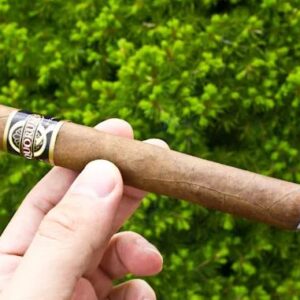 Xi Ga Quorum Classic 3