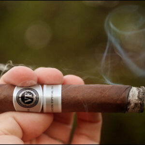 Xi Ga Vega Fina Sumum Edicion Especial 2010 1