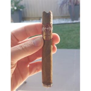 Xì Gà Isla Del Sol Breve Sungrown Hộp 10 Điếu 3 Xi Ga Isla Del Sol Breve Sungrown Hop 10 Dieu 2