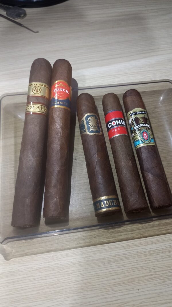 Combo Xì Gà Best of Cigar 5 Điếu