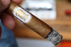 Xì Gà Liga Undercrown Shade Coronets Tin Hộp 10 Điếu